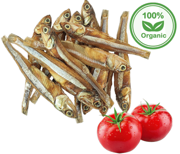 Premium Quality  Organic Dried Anchovy Fish – 100% Natural & Preservative-Free | High Protein | Ready to Cook - Image 3