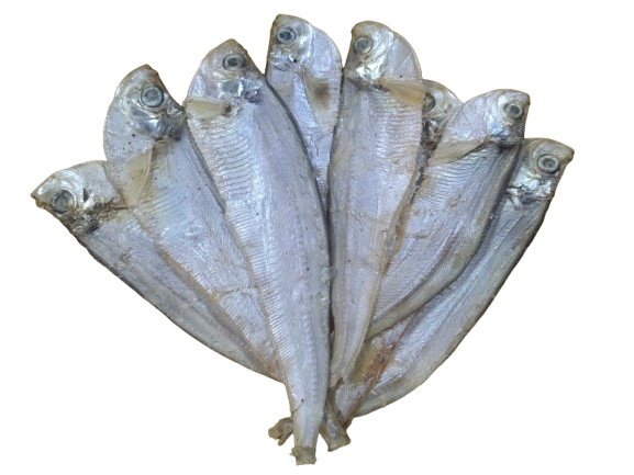 Dried Fish