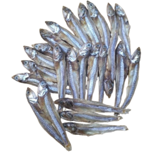 Loitta Churi Chingri Powa Kachki Gura/Lakkha Ilish