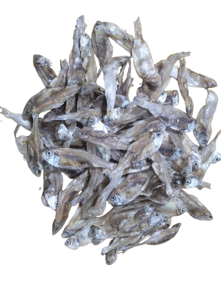 dried fish