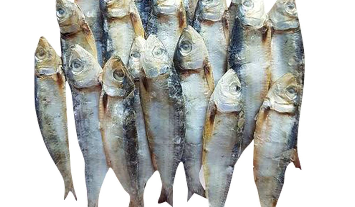 dried fish korti fish